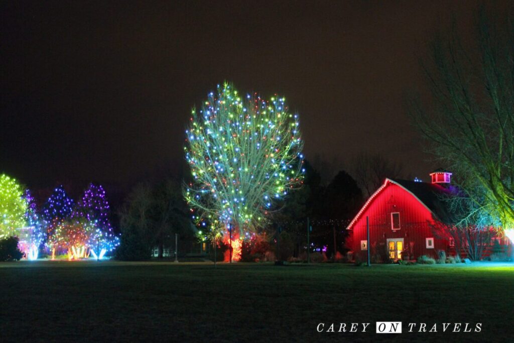Chatfield Botanic Trail of Lights Farm