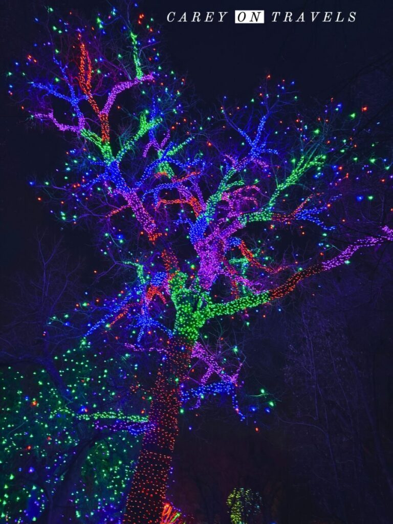 Denver Botanic: Chatfield Trail of Lights