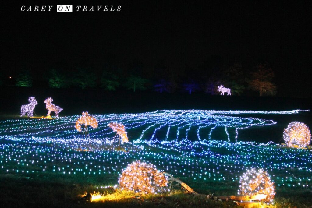 Chatfield Botanic Trail of Lights Tribute to Colorado Mountain Streams & Wildlife