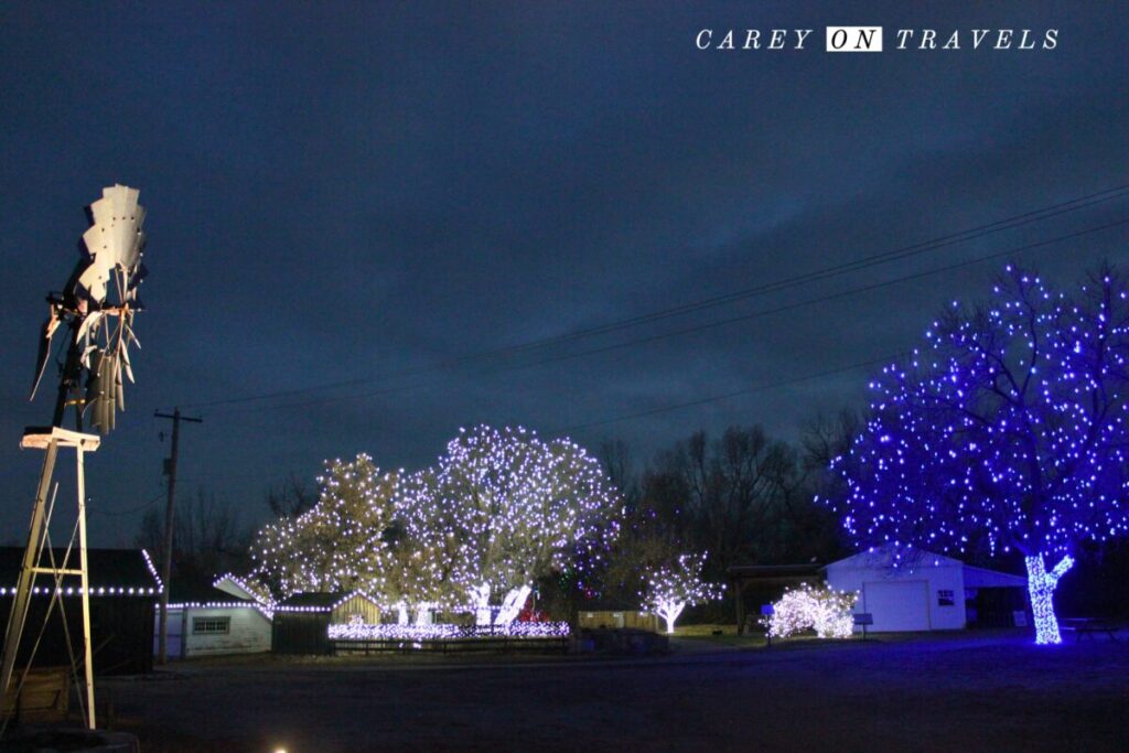 Chatfield Botanic Trail of Lights Hildebrand Ranch