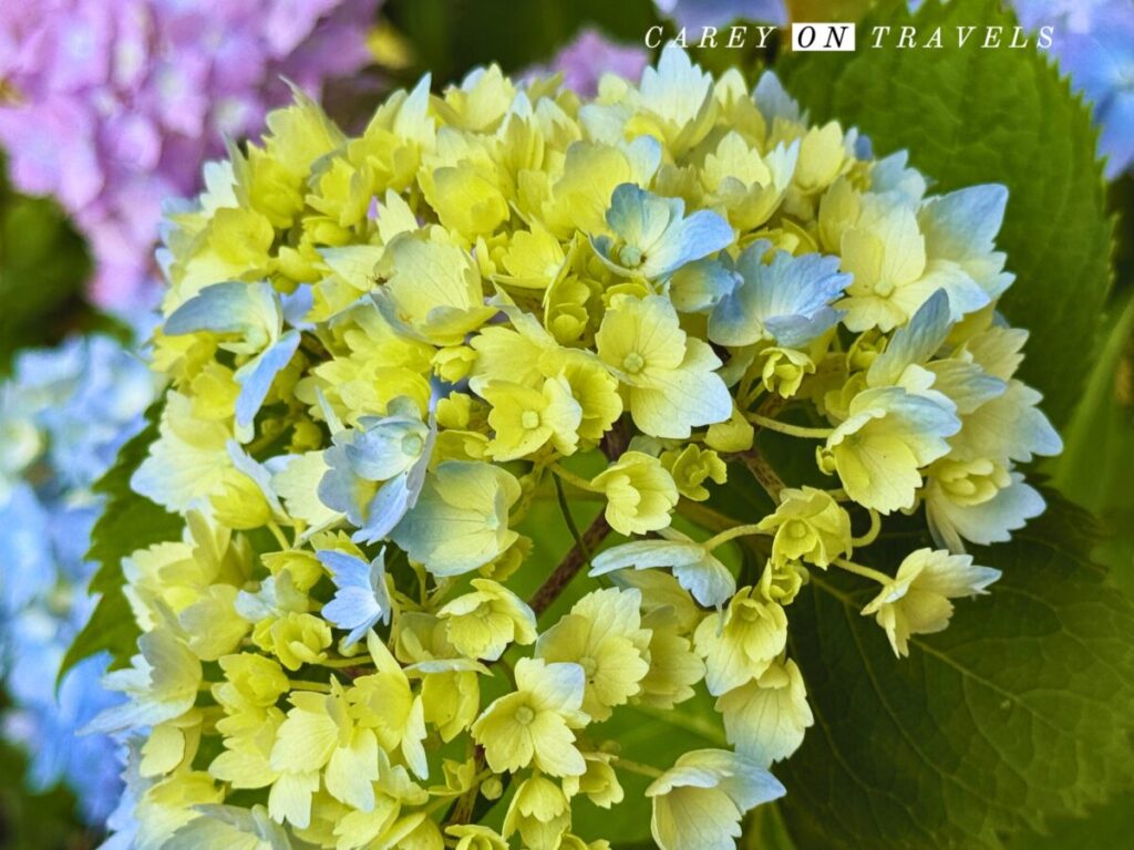 St. Michael's Mount Castle Gardens