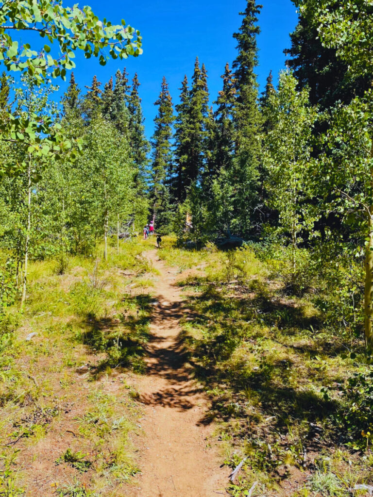 Beaver Creek Hiking Trail near Fairplay CO