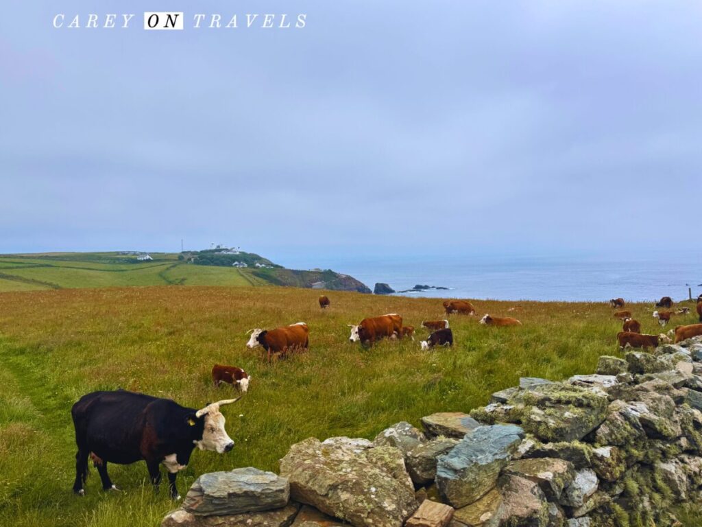 Views from the South West Coast Path on the Lizard Peninsula