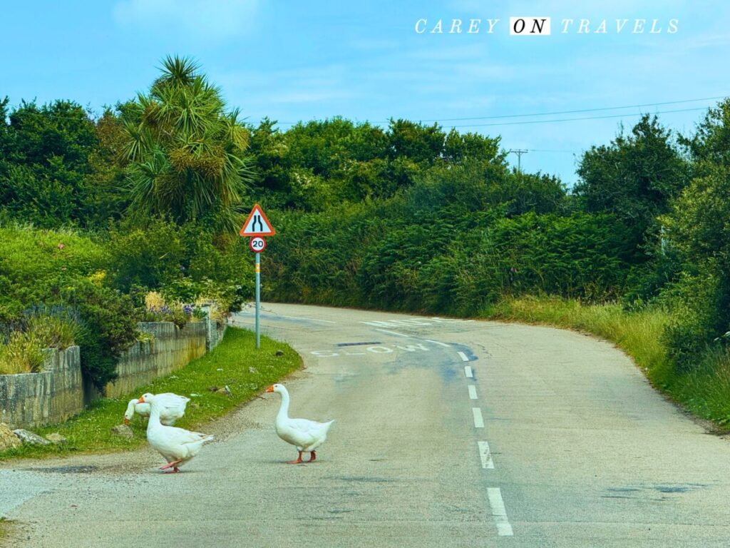 Traffic Jam in Cornwall
