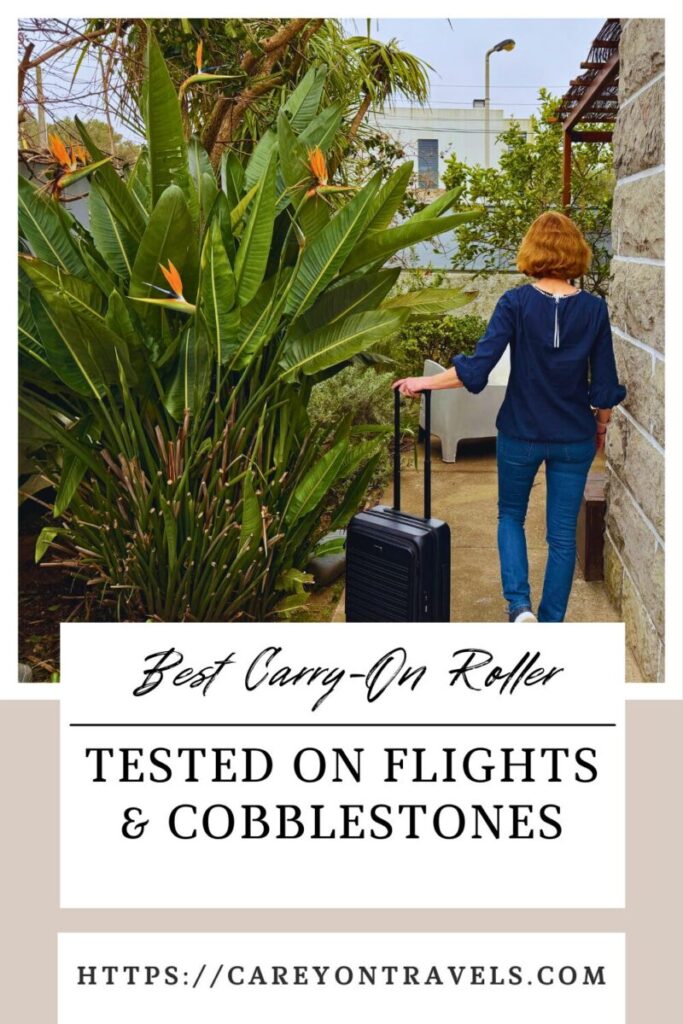 Carry-On Luggage Roller pin1