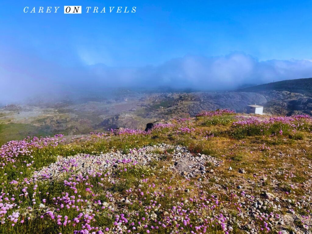 Near Lagoa Comprida Serra da Estrela