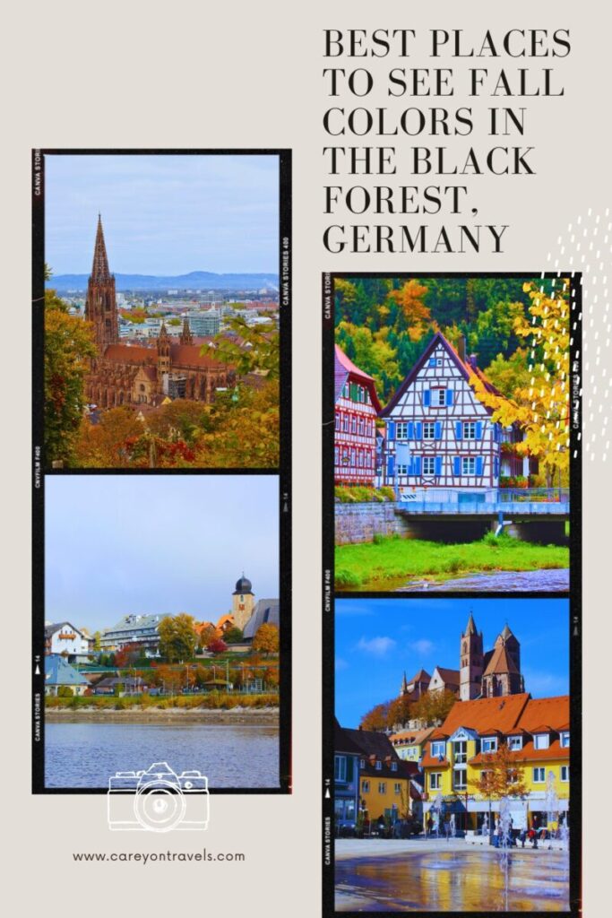 Black Forest Germany in Autumn pin3