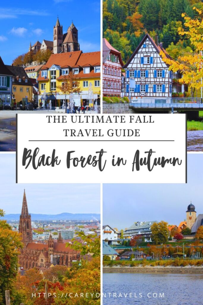 Black Forest Germany in Autumn pin4