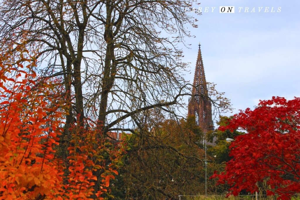View from Freiburg's Stadtgarten