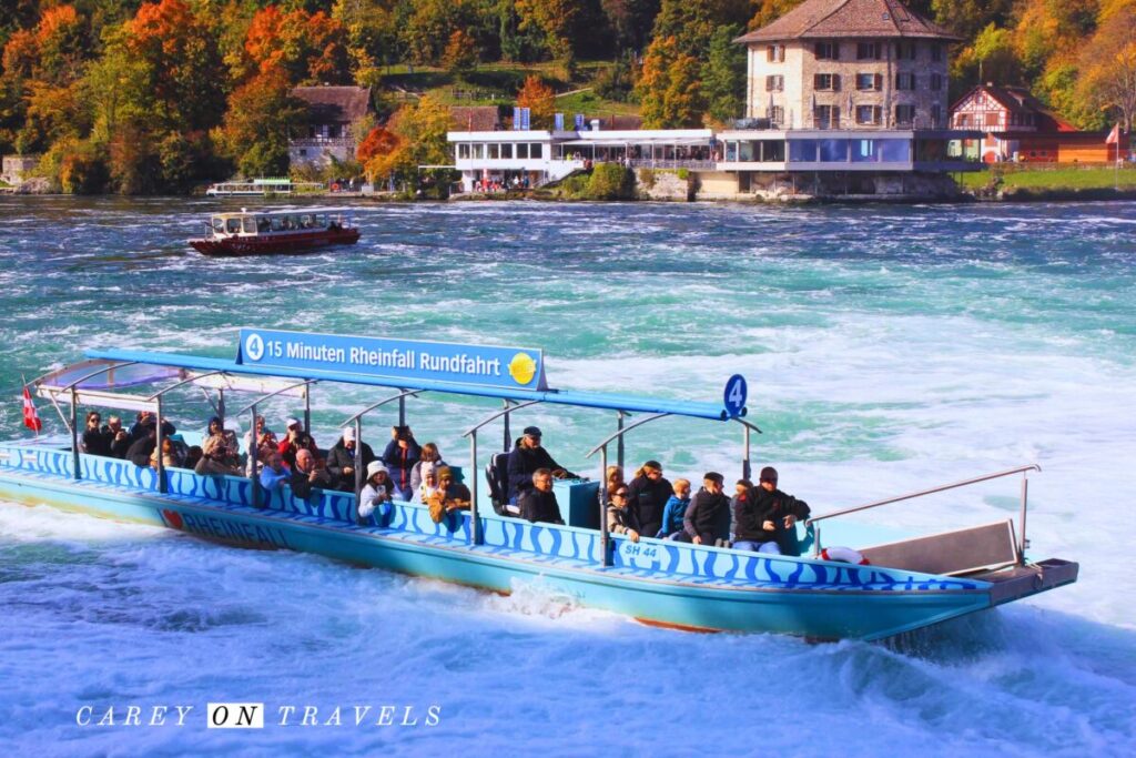 Rhine Falls Boat Tour