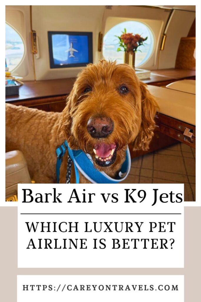 Luxury pet airline comparison pin1