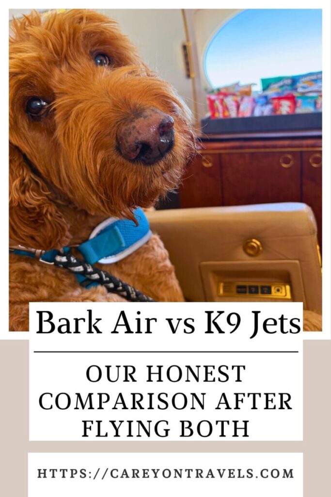 Luxury pet airline comparison pin4